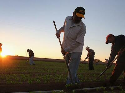 Iniciativas ciudadanas para apoyar la lucha por la tierra