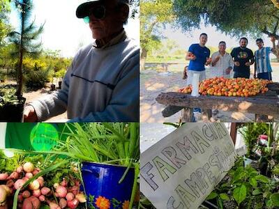 La Agricultura Ancestral se planta y le contesta a las operaciones mediáticas