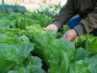 La agroecología como política de salud pública