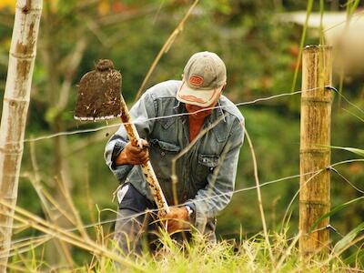 La agroecología entre la transformación profunda y su readaptación funcional al modelo dominante