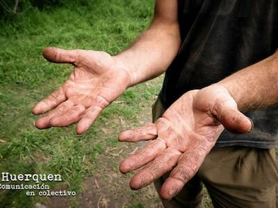Las manos de Guillermo, productor agroecológico del Pereyra Iraola
