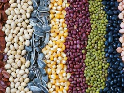 La Declaración de Roma en imágenes