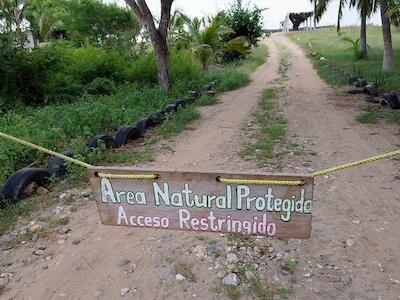 La destrucción regulada de la biodiversidad