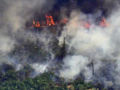 Incendios en la Amazonia. 