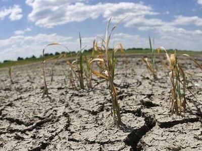 La ecología tiene su oxímoron: crecimiento verde