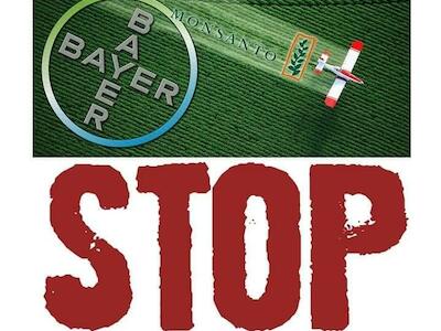 La Justicia rechazó la demanda de Bayer por derechos de patentes sobre las semillas 