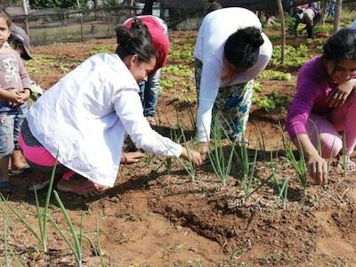 La política agrícola orientada a la exportación perturba la producción local y la Soberanía Alimentaria