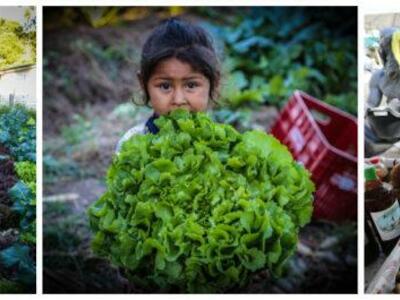 La Vía Campesina: ¡Alto a la crisis alimentaria! ¡Soberanía Alimentaria ya!