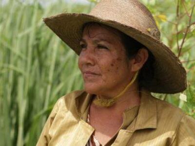 La Vía Campesina denuncia al Enviado Especial de la ONU para la Cumbre de Sistemas Alimentarios por atentar contra el campesinado y sus derechos