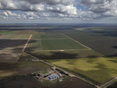 Las empresas piscícolas hacen un débil intento por resolver su gran problema de deforestación