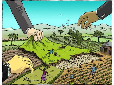 Los bancos de desarrollo no tienen nada que hacer financiando agronegocios