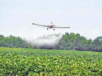 Los costos silenciados del agronegocio