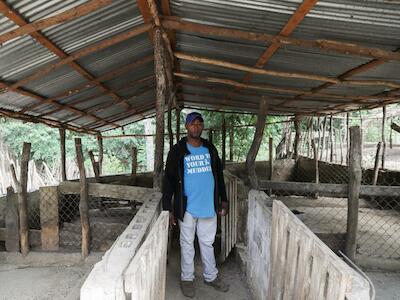 Nelson Aquino observa su granja de cerdos tras la muerte de éstos por la peste porcina africana, en Palmarito, Monte Cristi, República Dominicana. 1 de agosto de 2021. Foto: Reuters/Ricardo Rojas