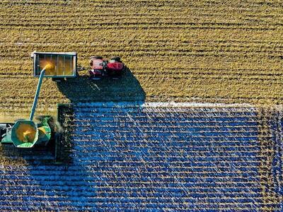 - El modelo de negocio del fondo Silverlands consiste en llevar la agricultura industrial a África. (Crédito: Oaklins)