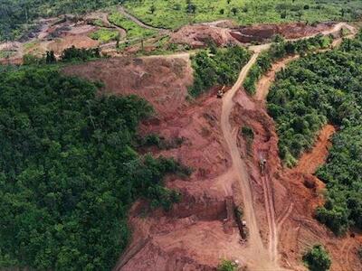 Más de 2 millones de ha de bosque primario se perdieron en 2020