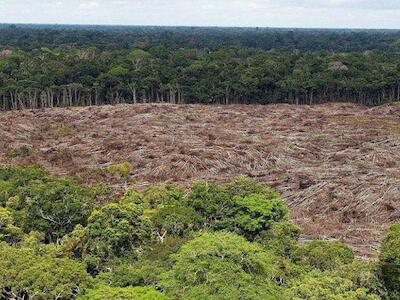 Más de 340 organizaciones piden a la Unión Europea la paralización de las negociaciones comerciales con Brasil