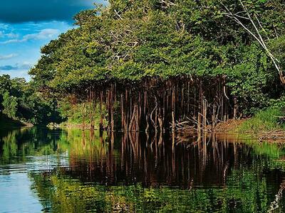 Medidas para defender a vida no planeta Terra e melhorar as condições de vida do povo