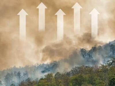 Mercado de carbono: hecho para el fracaso