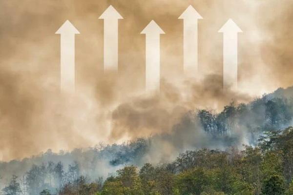 Mercado de carbono: hecho para el fracaso