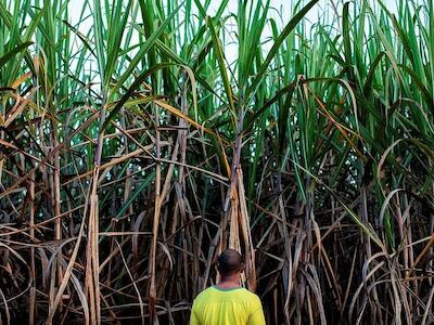 - Foto de Marizilda Cruppé para Human Rights Watch.