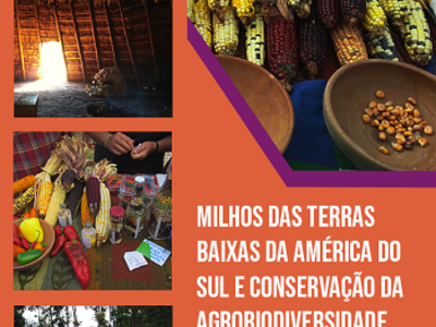 Milhos das terras baixas da América do Sul e conservação da agrobiodiversidade no Brasil e no Uruguai