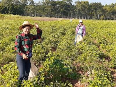 Mujeres rurales: sostén de la alimentación y la resistencia frente al agronegocio