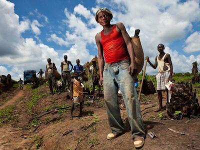 - Trabajadores de las plantaciones de palma aceitera de Feronia Inc. en Lokutu, República Democrática del Congo. La empresa canadiense recibió más de 140 millones de dólares de los bancos de desarrollo. (Foto: Beeld Hollandse Hoogte / Kris Pannecoucke)