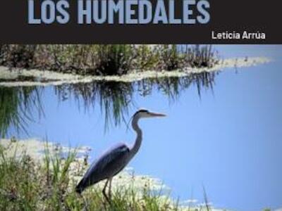 Nuevas fronteras agrícolas. Avance del agronegocio sobre los humedales