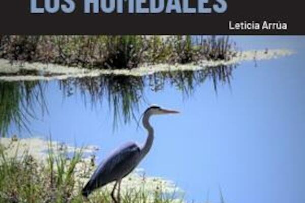Nuevas fronteras agrícolas. Avance del agronegocio sobre los humedales