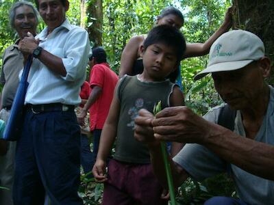 Fuente: Coecoceiba AT