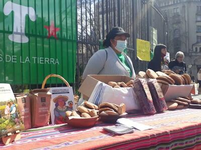 Panes, facturas y tortas fritas en Plaza de Mayo, para rechazar al trigo transgénico