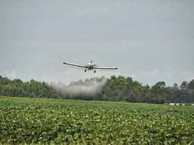 Por un modelo agropecuario sin agrotóxicos