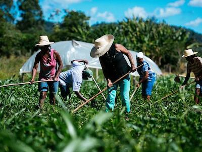 Producir alimentos sin agrotóxicos