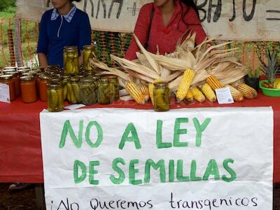 Productores rechazaron el uso de agrotóxicos en la provincia de Misiones