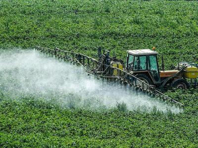 Prohibición de agrotóxicos: mucho por hacer