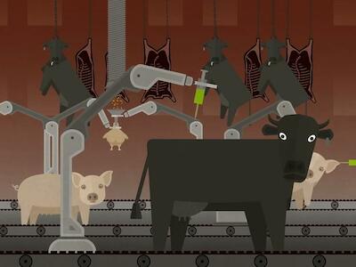 ¿Qué tiene que ver la producción industrial de carne con la crisis climática?
