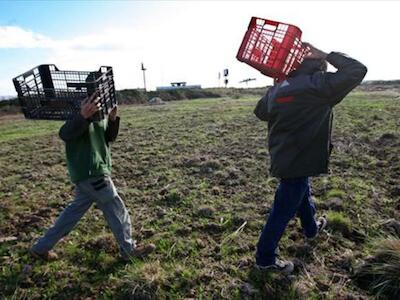 Quienes sufren hambre y malnutrición han de liderar la Cumbre sobre los sistemas de Alimentación de la ONU