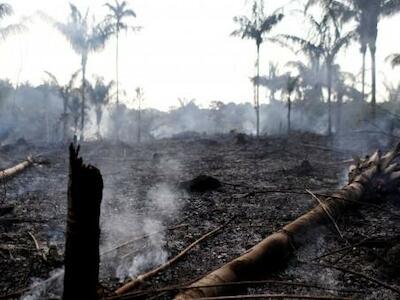 Recorde de queimadas reflete irresponsabilidade de Bolsonaro. Nota do Observatório do Clima