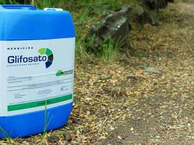 Retractan estudio de Monsanto sobre glifosato