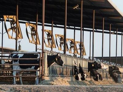  Saquemos del medio a los agronegocios, es hora de encontrar soluciones reales a la crisis climática