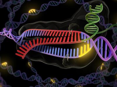 Seminario | Edición génica: amenazas de los nuevos transgénicos