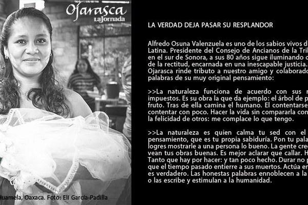 Suplemento Ojarasca N°289 | La verdad deja pasar su resplandor