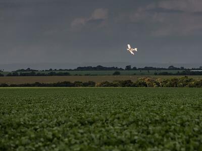 Pulverización aérea en la plantación de soja Sidrolandia, Cerrado. Foto: Thomas Bauer