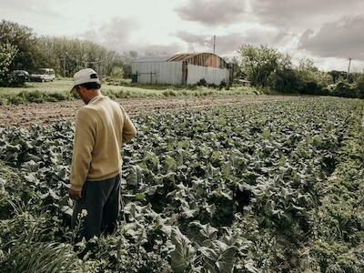 Una respuesta al cambio climático: alimentarnos