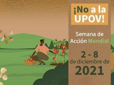 UPOV: 60 años de más