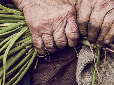 Veinticinco años de lucha por la Soberanía Alimentaria: celebrando la diversidad, resistencia y transformación de la sociedad