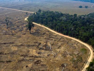 Y la guerra contra la Tierra desembocó en una pandemia global