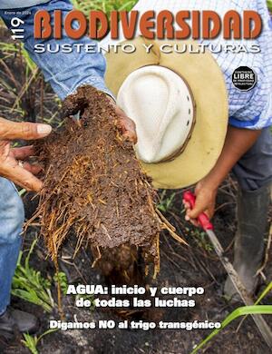 Biodiversidad, sustento y culturas  #119